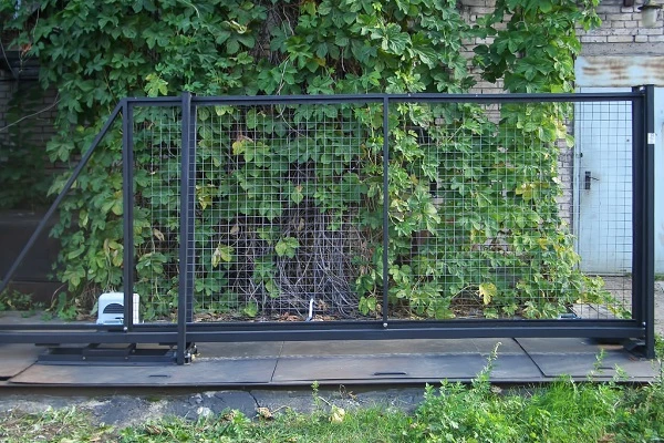 ����� �������� ������ �� ����� ������
