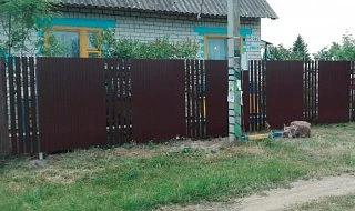 �����: ��������������� ����� �� ����������� �20 � ����������