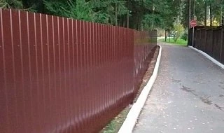 �����: �������� ������ ����� �� �����������